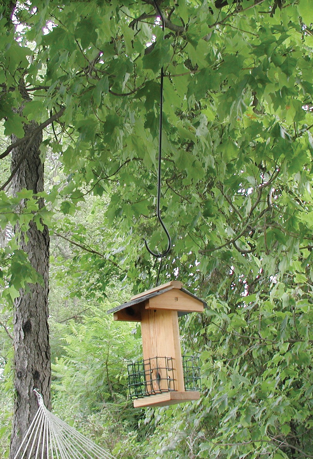 Amazon.com: Hookery BF-30 Tree Limb Extension Hook, Black, 30-Inch